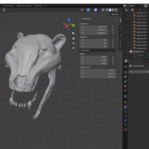 Huntress wip
